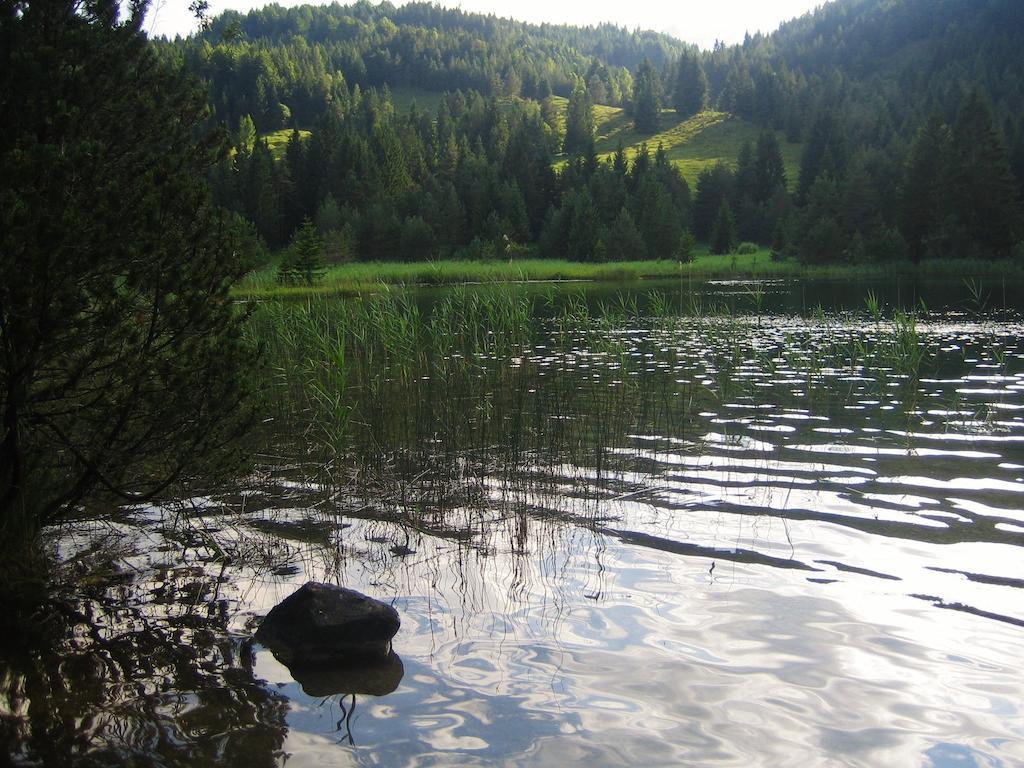 Ferienhaus Beim Veitele Appartement Mittenwald Buitenkant foto